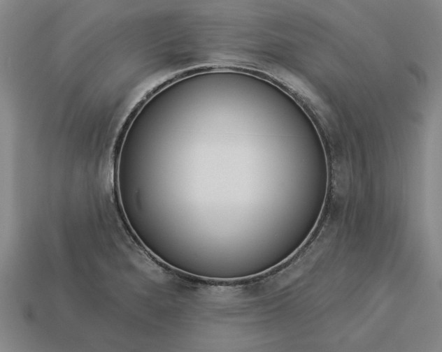 X0000113361280200909291022