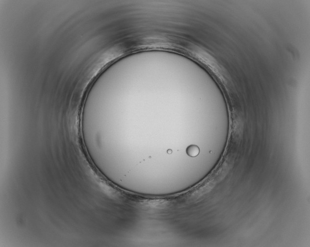 X0000113361282200909291022