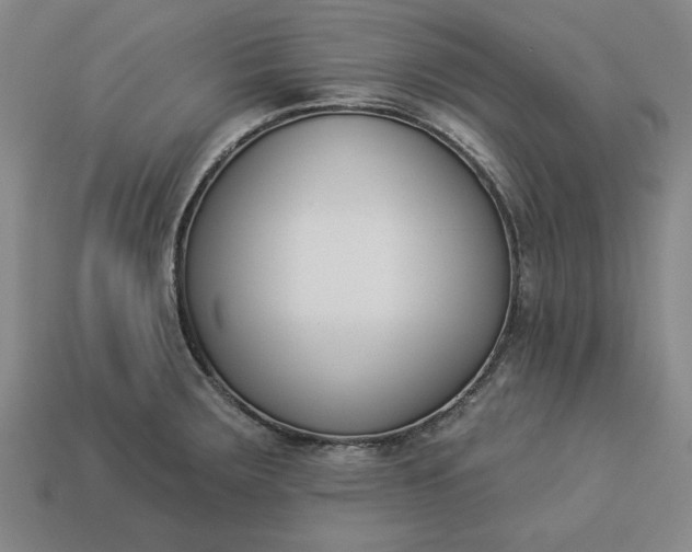 X0000113361283200909291022