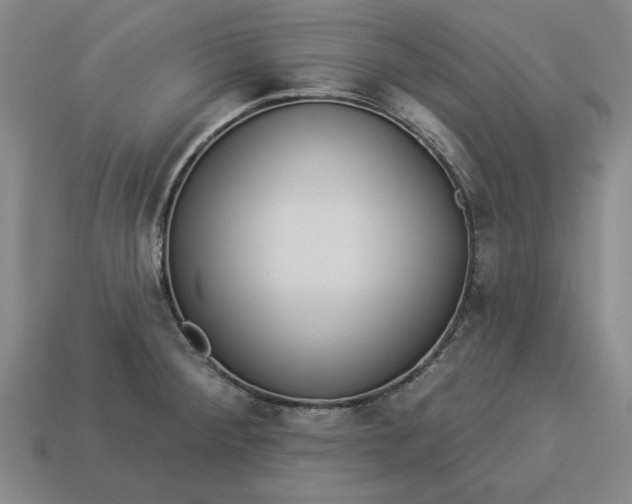 X0000113361284200909291022