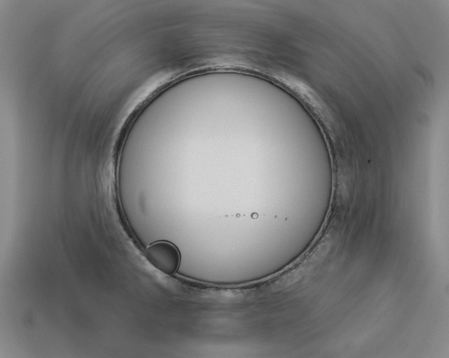 X0000113361286200909291022