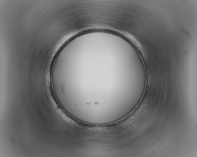 X0000113361287200909291022