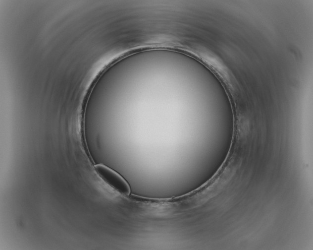 X0000113361288200909291022