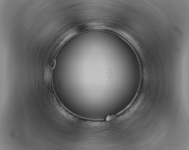 X0000113361289200909291022