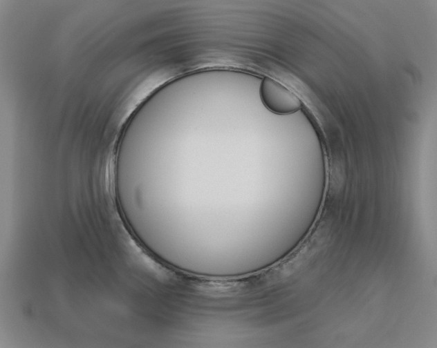 X0000113361290200909291022