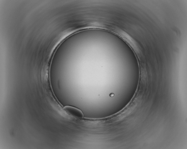 X0000113361292200909291022