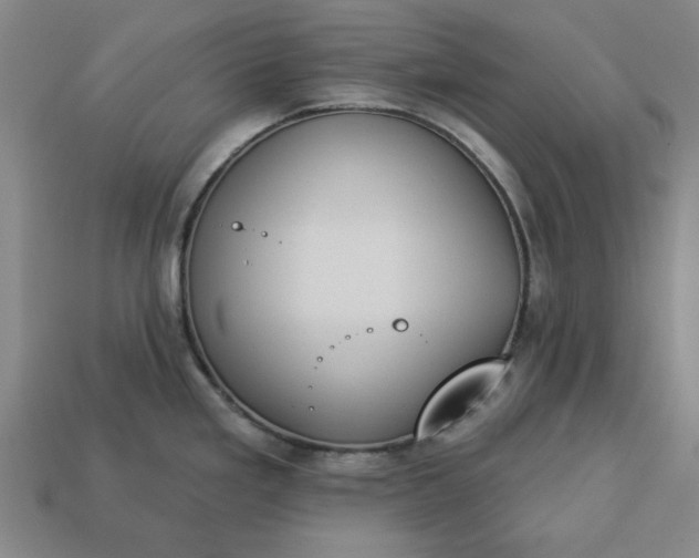 X0000113361293200909291022