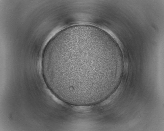 X0000113361294200909291022