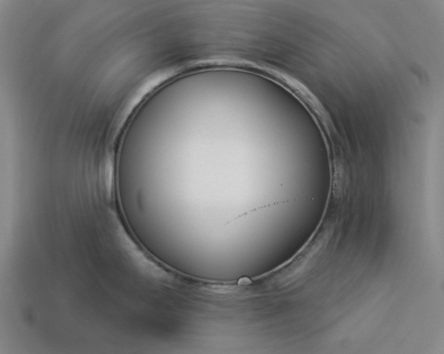 X0000113361295200909291022