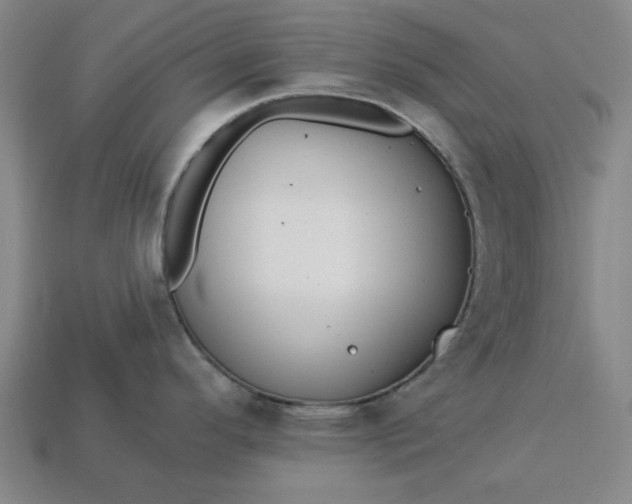 X0000113361296200909291022