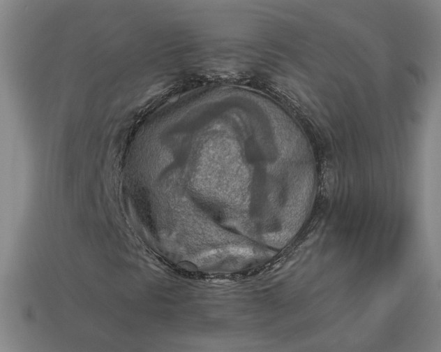 X0000113361297200909291022