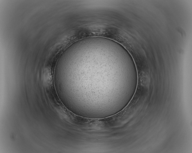 X0000113361298200909291022