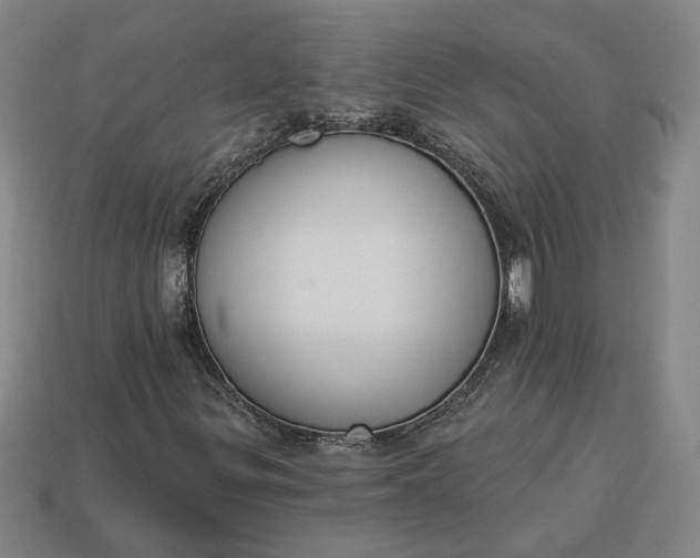 X0000113361299200909291022