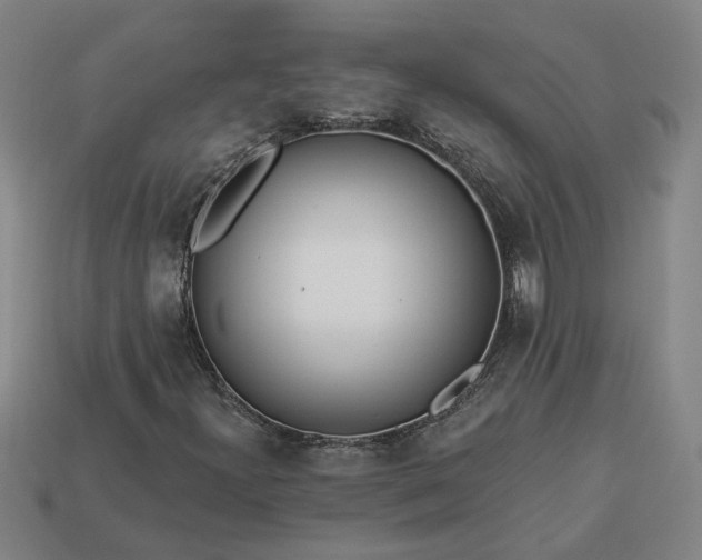 X0000113361300200909291022