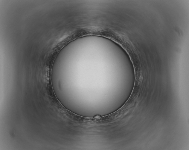 X0000113361301200909291022