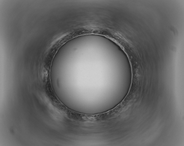 X0000113361302200909291022