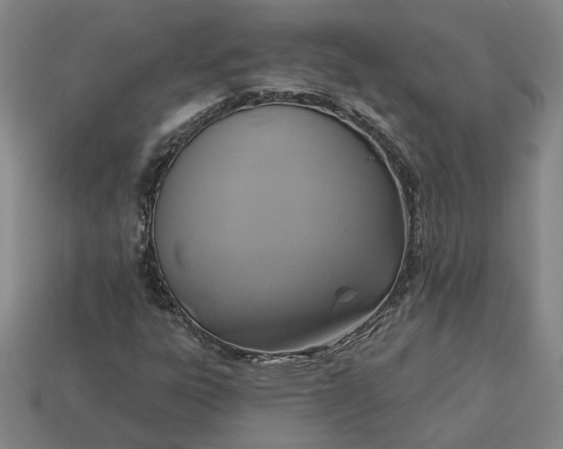 X0000113361303200909291022