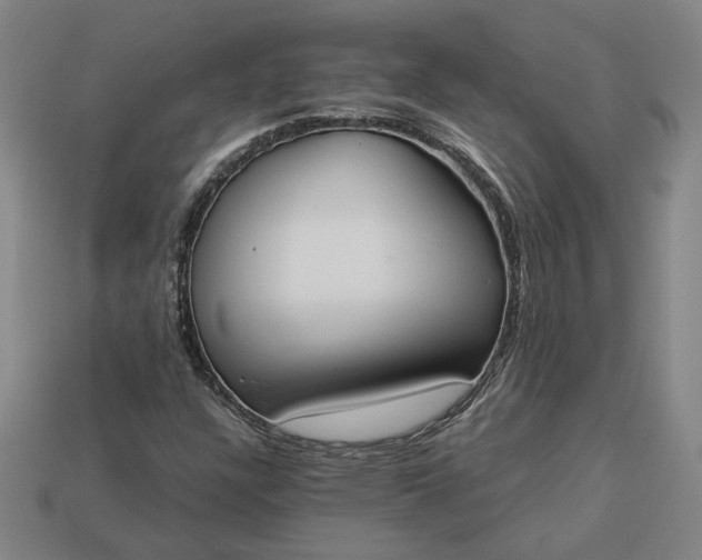 X0000113361304200909291022