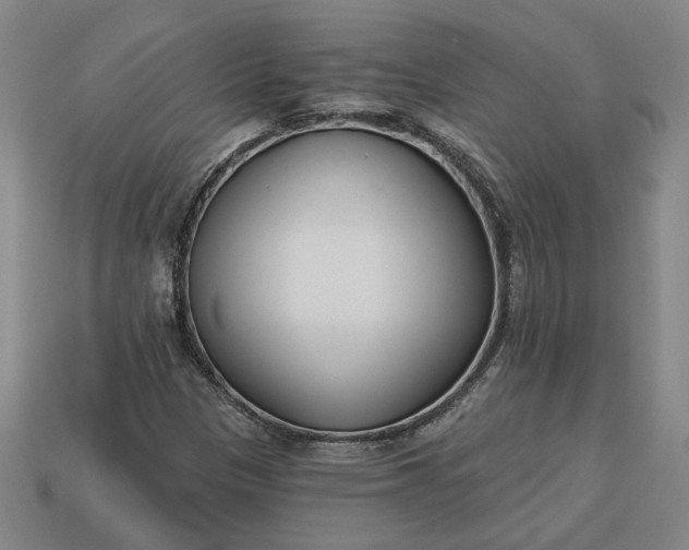 X0000113361305200909291022