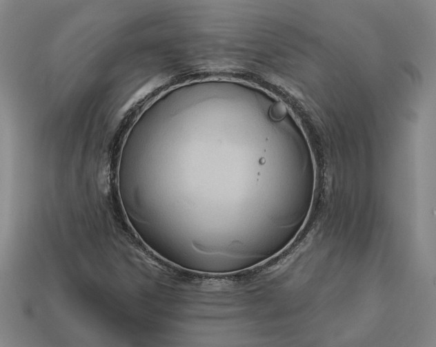 X0000113361306200909291022