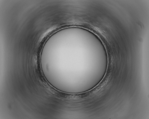 X0000113361307200909291022