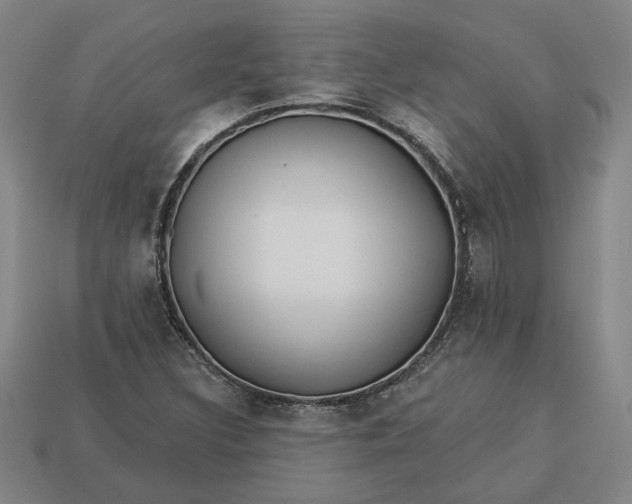 X0000113361308200909291022