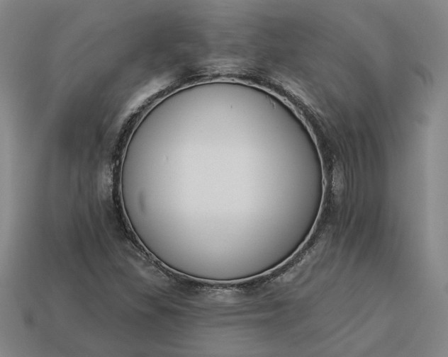 X0000113361309200909291022