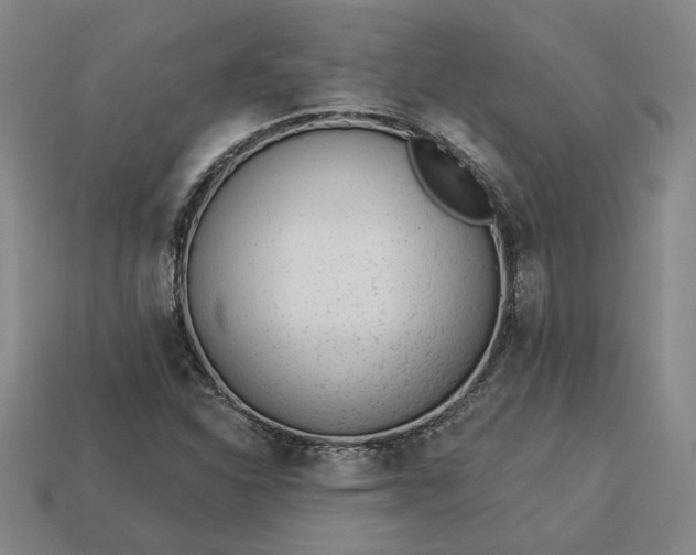 X0000113361310200909291022