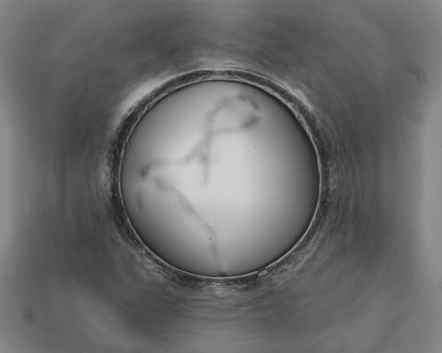 X0000113361311200909291022