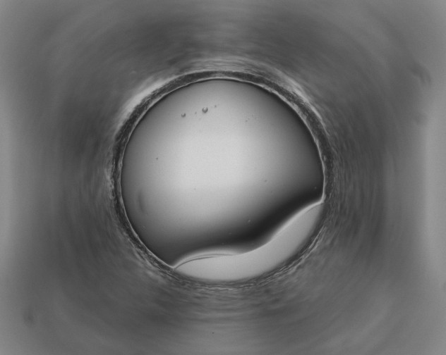 X0000113361312200909291022