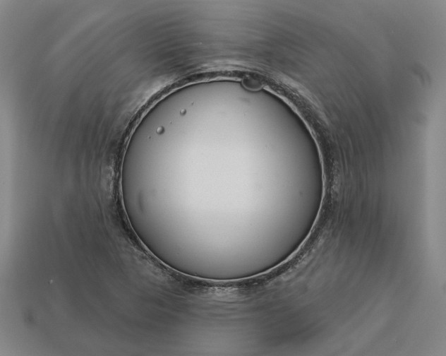 X0000113361313200909291022