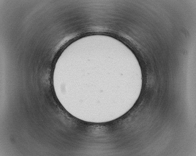 X0000113361314200909291022