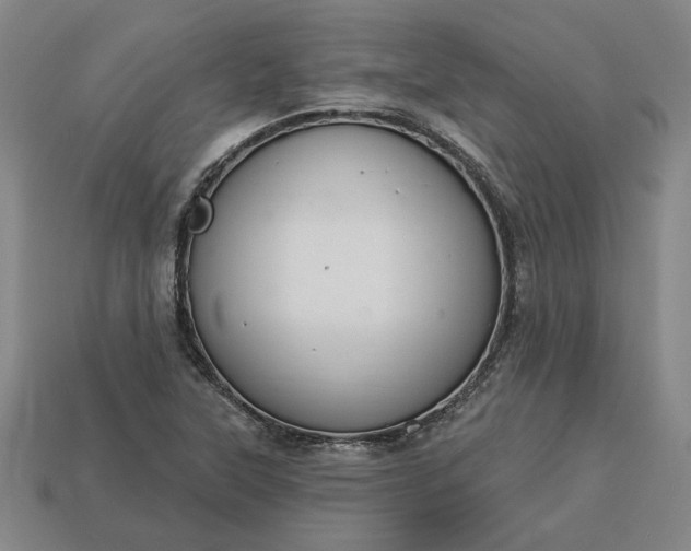 X0000113361315200909291022