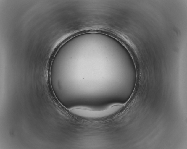 X0000113361316200909291022