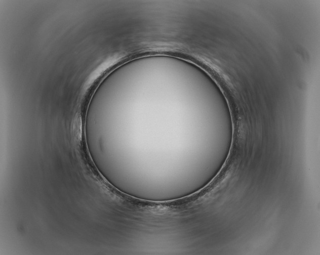 X0000113361317200909291022