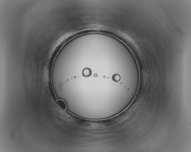 X0000113361318200909291022