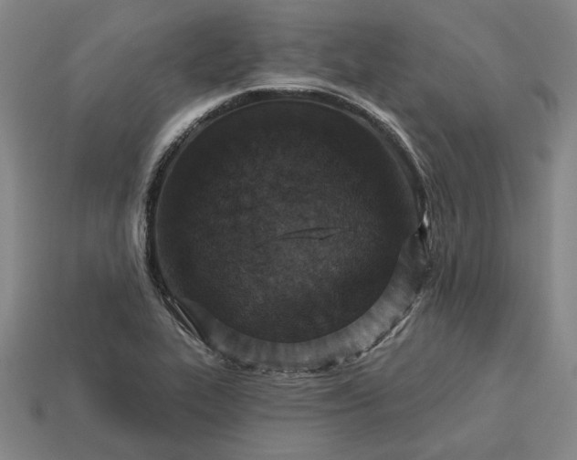 X0000113361319200909291022