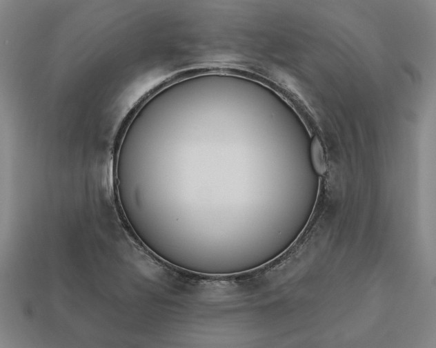 X0000113361320200909291022