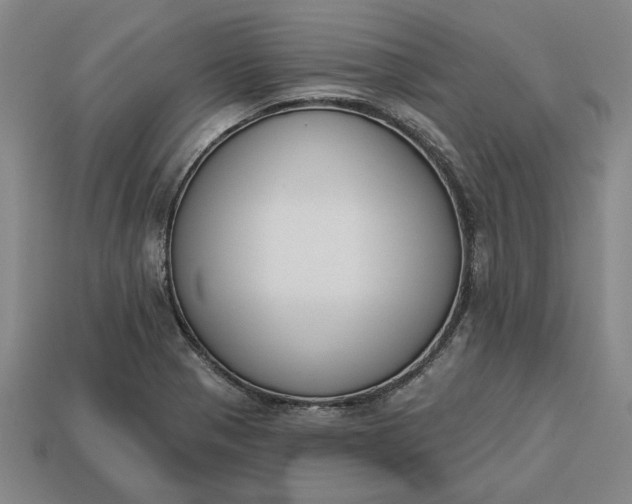 X0000113361321200909291022