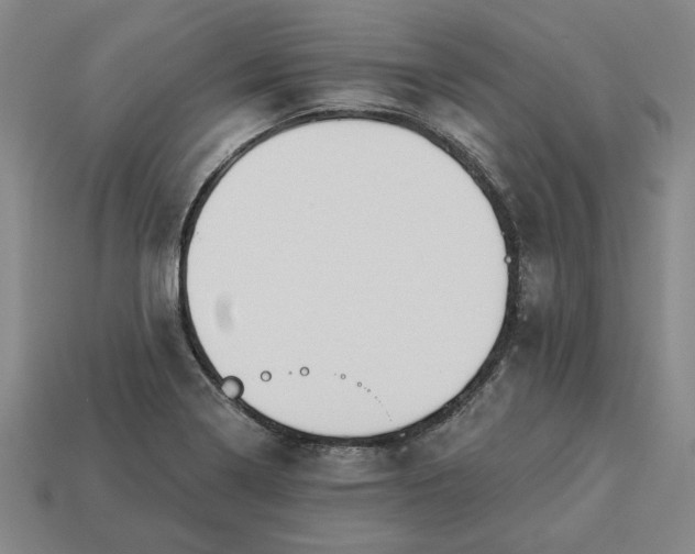 X0000113361322200909291022