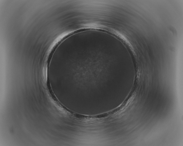 X0000113361323200909291022