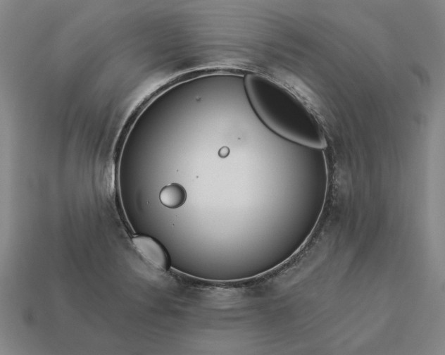 X0000113361324200909291022