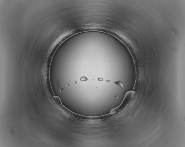 X0000113361325200909291022