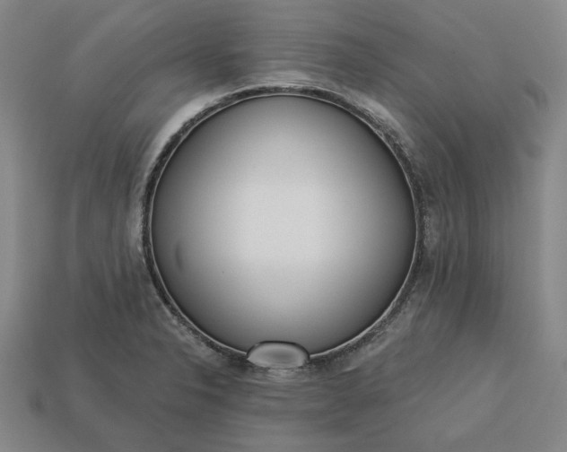 X0000113361326200909291022