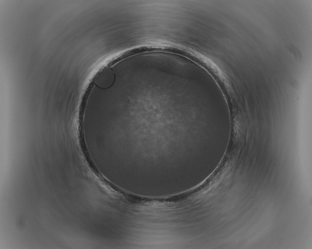 X0000113361327200909291022