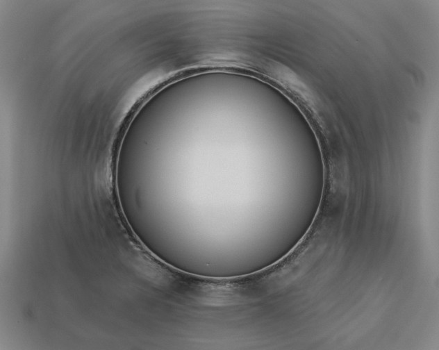 X0000113361328200909291022