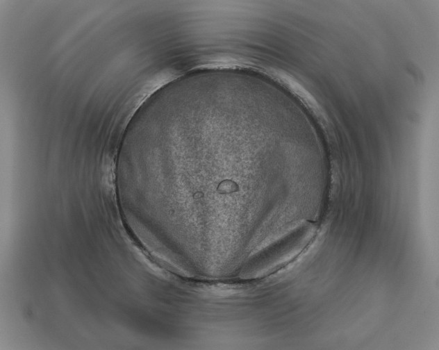 X0000113361329200909291022