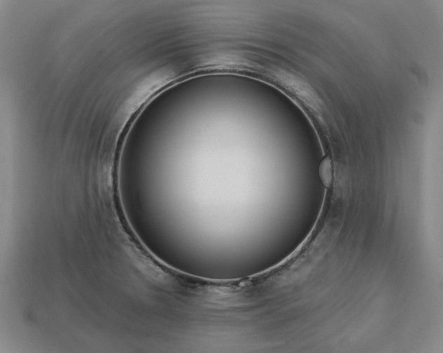 X0000113361330200909291022