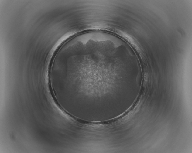 X0000113361331200909291022