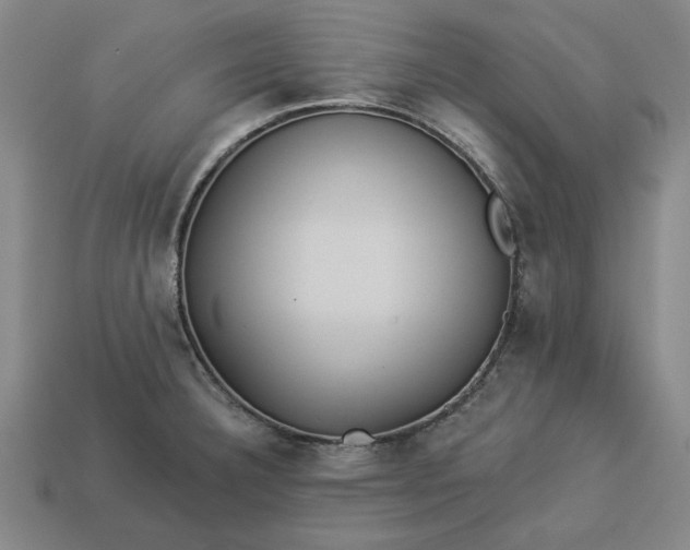 X0000113361332200909291022